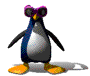 A dancing penguin, what next